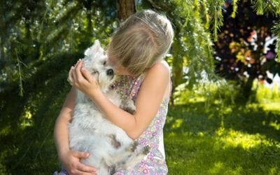 Everything You Need To Know About Pet Insurance