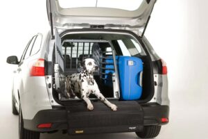 Dalmation in the back of a car sitting in a crate ready to travel